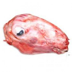 Gwyllt Rabbit Heads (1kg)