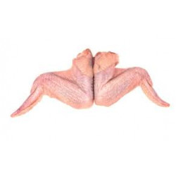Ffin Ostrich Wing